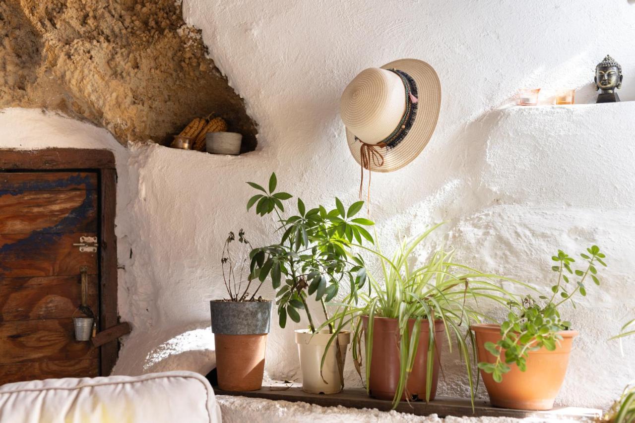 Casa Cueva Gaspara Arico 外观 照片